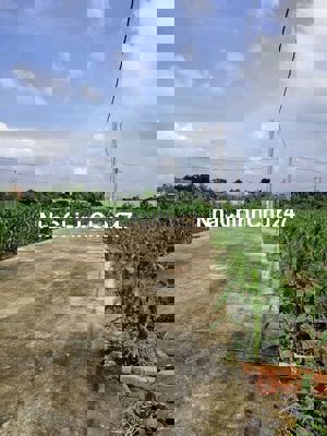 Bán đất vĩnh tân vĩnh cữu đồng nai