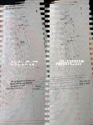 Bán gấp mặt tiền Bàu Rong ngang 15x42 cực đẹp mua về kinh doanh oke