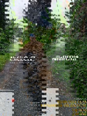 CẦN BÁN NHANH 150M2 NỀN KV PHÚ LỢI, PHƯỜNG TÂN PHÚ, QUẬN CÁI RĂNG