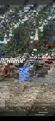 Đất thuộc tổ dân phố Thịnh Vạn