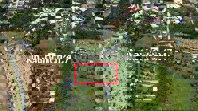 Bán vườn bưởi 900m2 loại đất trồng cây hằng năm gần kdl bà nà hills.