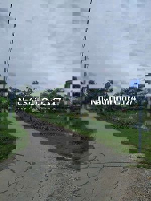 Cần bán gấp đất cây lâu năm xã Bình Chánh