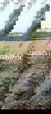 Bán rẻ đất CLN 875m2 xã Tân Nhựt giá 1.3ti