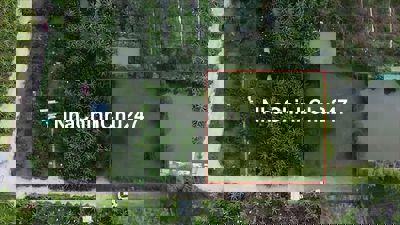 Vườn cực đẹp - đường bê tông 7m Phường Tân Triều