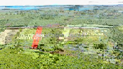 Cần thanh lý gấp sào đất view suối để đi định cư nước ngoài