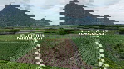 5000m2 đất view núi bà thuộc xã suối đá huyện dương minh châu-Tây Ninh