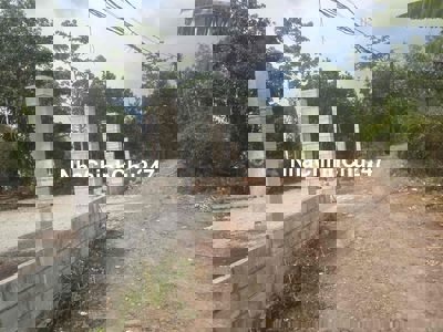 Bán 1700m2  đang trồng mít, đường ô tô tới nơi, gần núi Chứa Chan