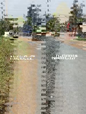 Đất cây hàng năm khác- mặt tiền đường nhựa 15m