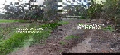 Đất nông nghiệp