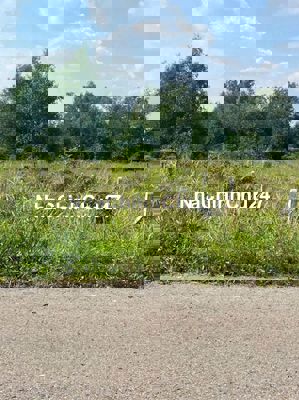 Bán 1,1 sào đất Gần ủy ban Xã Tân Lợi,Đối diện Khu Du lịch,giá 300 Tr