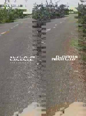 Bán đất nông nghiệp