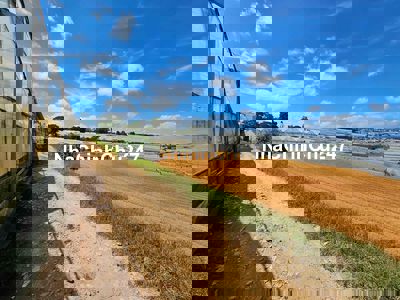 1132 m2 đất trồng trọt phường 8 Đà Lạt