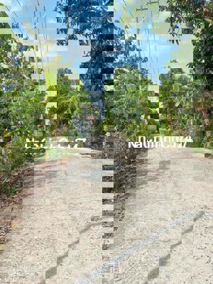 đất tiền trường long lộ 7,5m