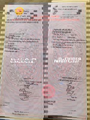 187M2 ĐẤT CHỈNH CHỦ " XẢ HÀNG " ĐỂ ĐI NƯỚC NGOÀI CẦN TÌM CHỦ MỚI!