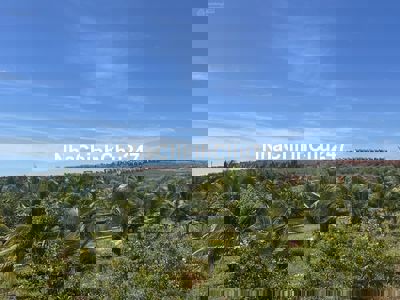 Bán đất trống làm vườn Nova World Phan Thiet diện tích hơn 4hec2