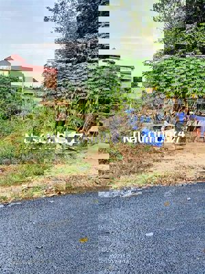 Chính chủ gửi lô đất 160m² thổ cư, sổ riêng, Tân Thông Hội – 720 triệu