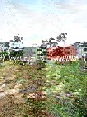 Bán đất gò cao ở trung tâm xã Nhuận Đức, Củ Chi