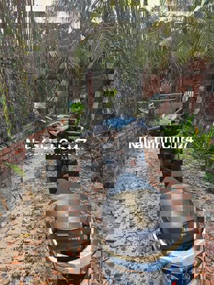 Đất trồng cây hàng năm, gần đường Nguyễn Hữu Thọ có sẵn nhà thô