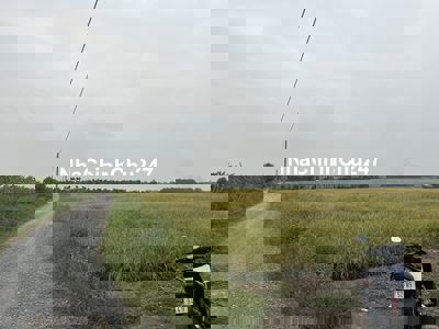 Bán đất đường Kênh 10 ngay Vành Đai 3, Lê Minh Xuân ( 3ha )