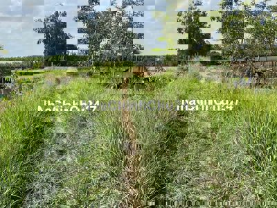 BÁN ĐẤT VƯỜN GIÁ TỐT – XÃ VĨNH THỚI, LAI VUNG, ĐỒNG THÁP