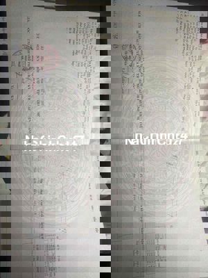 đất vườn giá rẻ