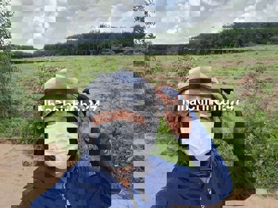 BÁN GẤP 3,7 MẪU ĐẤT TẠI TX TRẢNG BÀNG, GẦN KCN PHƯỚC ĐÔNG