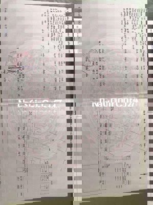 cần bán đất trồng cây lâu năm tam thôn hiêp