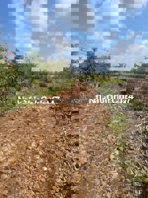 Đất 2MT view đẹp, cách đường nhựa vài trăm mét