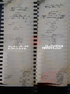 bán 2,1 mẫu đất ở Hồ Núi Đất giá rẻ