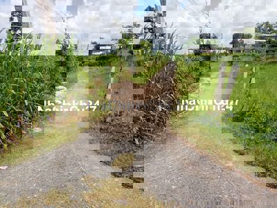 Đất 300x100m đường xóm đồng