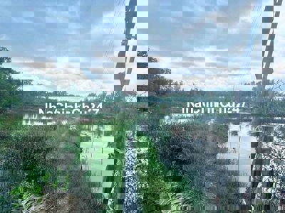 Cần bán gấp lô đất 3,7 sào đầu tư lúa vuông tôm gấn UBND xã Tân Chánh