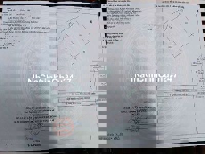 Bán đất nông nghiệp