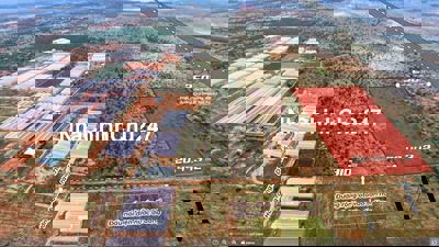 1ha khu farm dưa lưới thích hợp làm Farm nông nghiệp sạch, farmstay