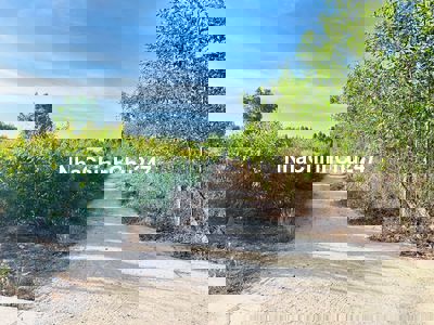 Bán 1.2 mẫu đất Tân Hà - Hàm Tan chỉ 1 tỷ sổ hồng riêng gần QL55