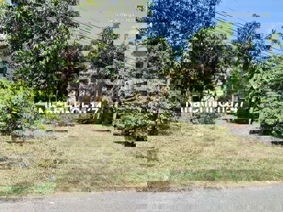 Bán đất nền 259m2 Vũng Liêm-Vĩnh Long