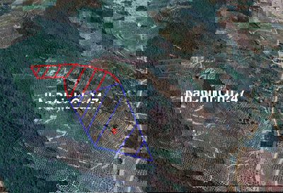 cần bán rẩy xoài 4.2 ha giá rẻ