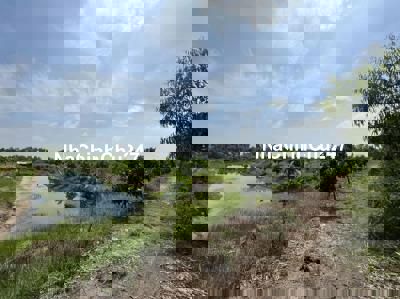 Đất cây lâu năm ấp mũi côn tiểu gần công ty cây xanh tphcm