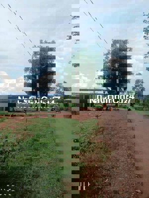 chủ đang ket tien can ban gap lô đất