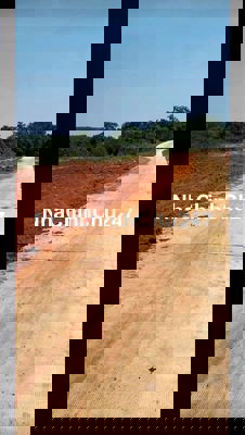 BÁN LỖ 50 TRIỆU CHO LÔ ĐẤT SÀO 1000M2 MT BÊ TÔNG 5M PHÚ RIỀNG, BP