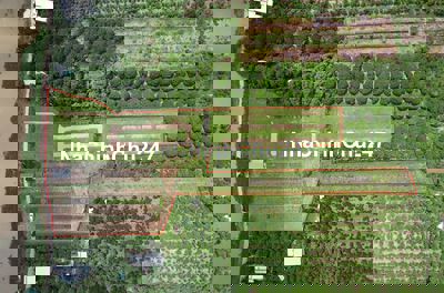 [Chính chủ] - Cần bán đất ven sông - 12404m2