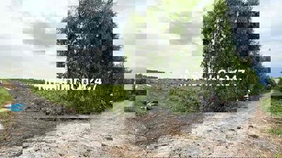 đất tân thành - thủ thừa , dt : 500m2 , giá rẻ : 290 triệu