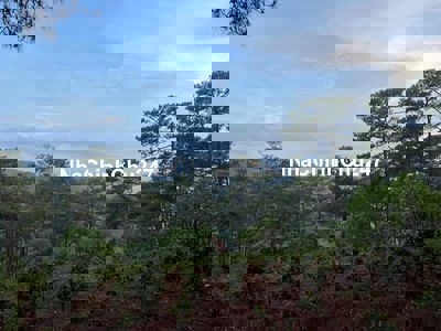 ĐẤT MẶT TIỀN QL20