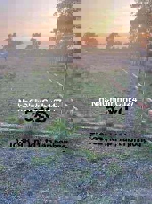 Đất phường tân phong