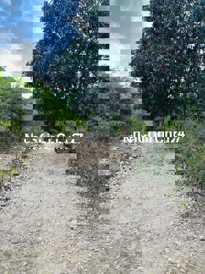 Bán lô đất suối tôm đường đệ vĩnh hoà nha trang