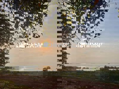 🌿 BÁN GẤP ĐẤT VƯỜN VIEW PANORAMA HỒ TRỊ AN – GIÁ CHỈ 500 NGHÌN/m²! 🌿