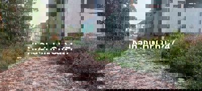 BÁN LÔ ĐẤT NHÀ VƯỜN,DT 1000M XÃ LONG TÂN ,NHƠN TRẠCH, ĐƯỜNG XE HƠI.