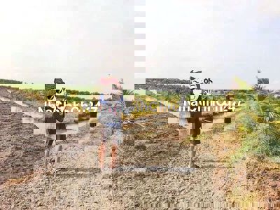 Quá đẹp, 500m2 đất vườn view kênh Tân Thành, 290tr