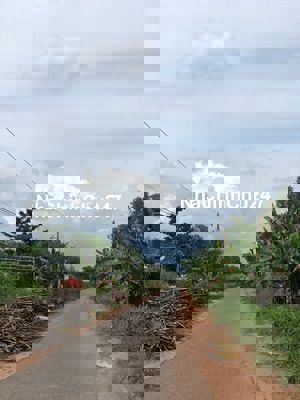 Về quê cần bán 1004m2 đất tại An Cơ,Châu Thành, Tây Ninh giá 180 triệu