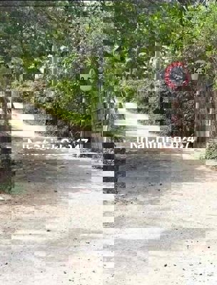 cần bán đất vườn