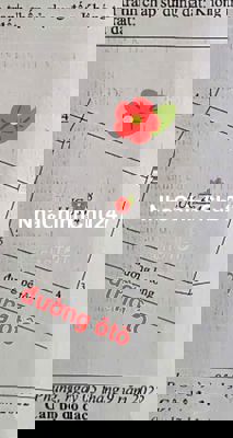 Bán 700m2 lúa QH đất ở đường Xe hơi, Xã Long Phụng, Cần giuộc, LA